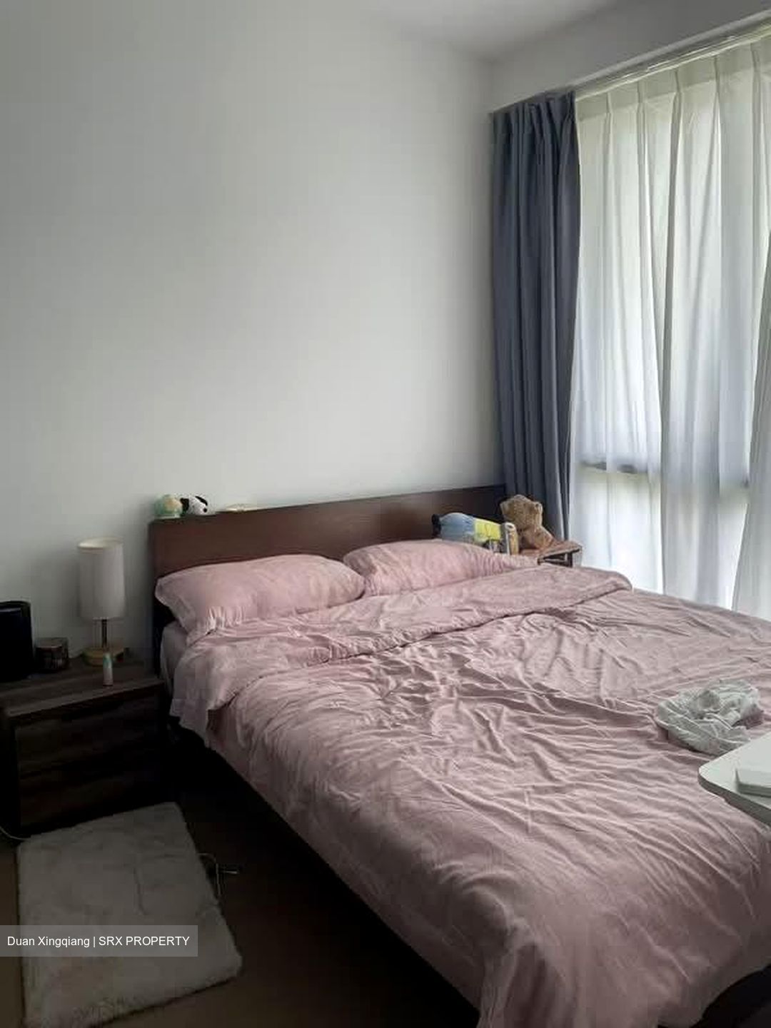 Irwell Hill Residences (D9), Apartment #573592281